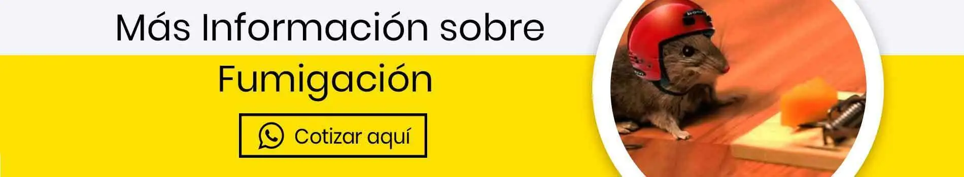 bca-cta-cot-fumigacion-contra-ratones-casa