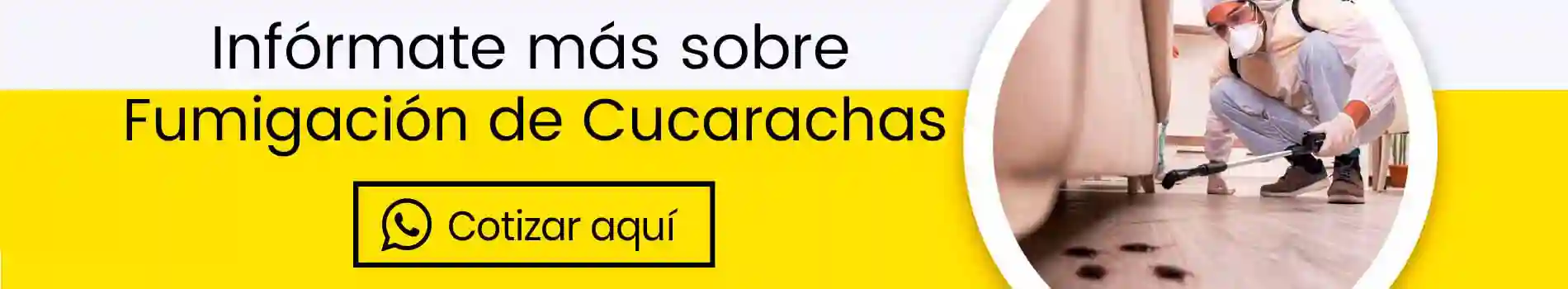 bca-cta-fumigacion-de-cucarachas-