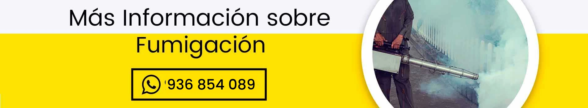 bca-cta-num-fumigacion-cambio-de-numero-casa-lima-serv