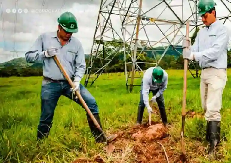 excavación de pozo a tierra