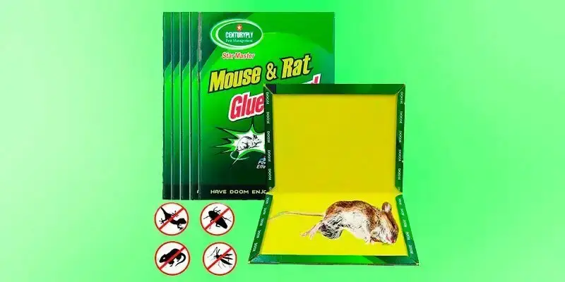 trampas para ratas