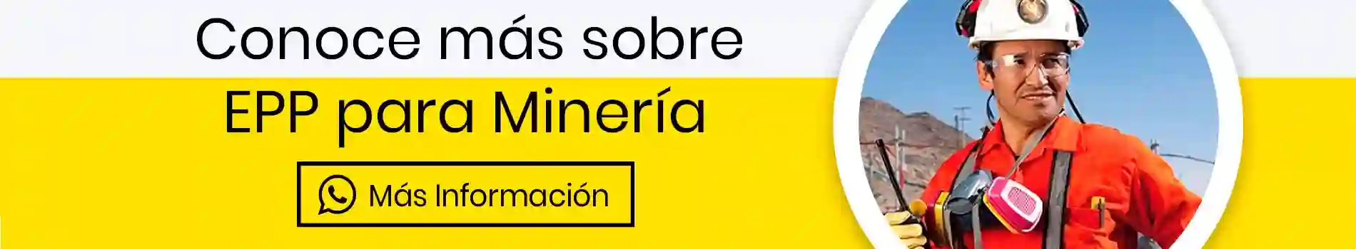 bca-cta-inf-epp-para-mineria-casa-lima-informacion