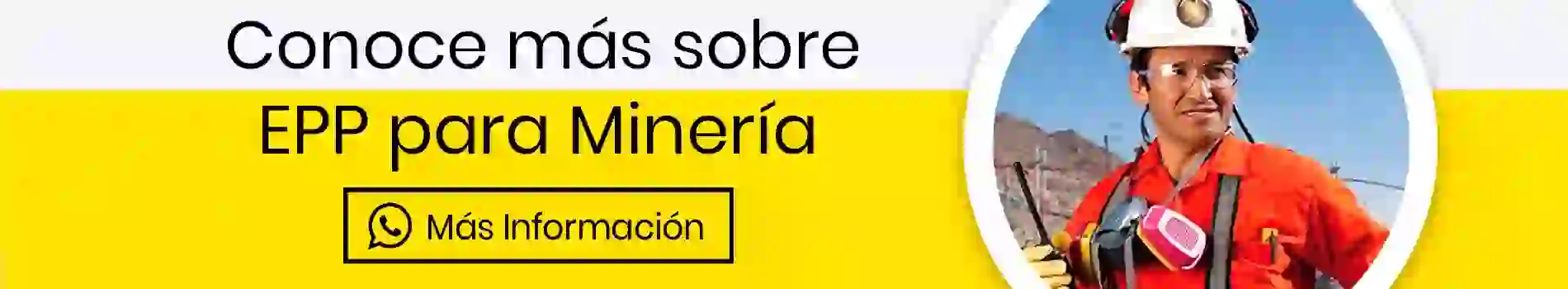 bca-cta-inf-epp-para-mineria-casa-lima-informate