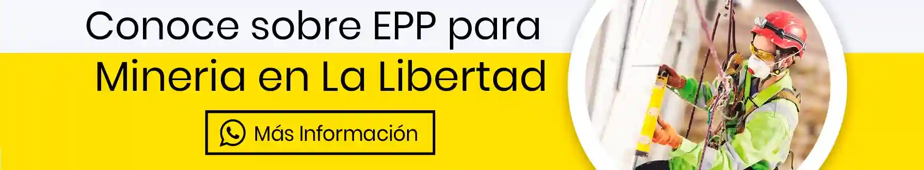 bca-cta-inf-mineria-en-la-libertad-informacion