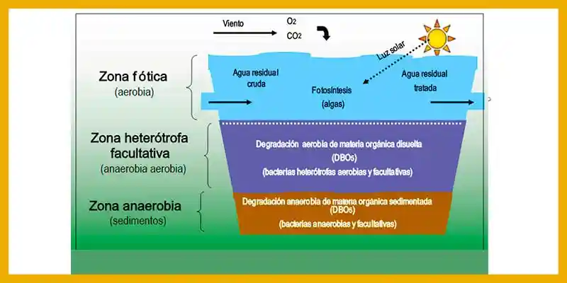 etapas del agua