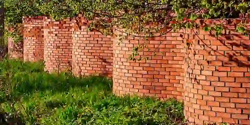 muro de ladrillo con ramas