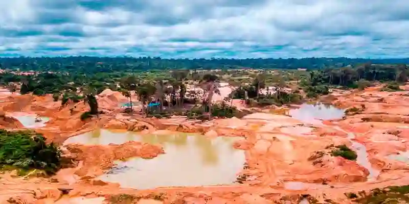 selva amazónica peligro