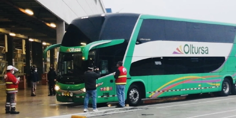 autobuses terrestre