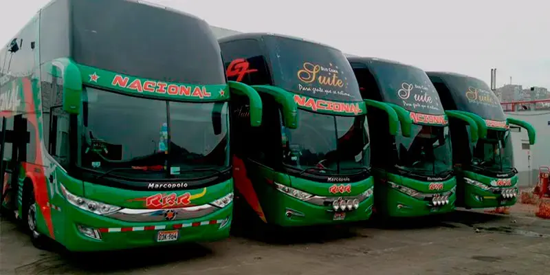buses interprovincial