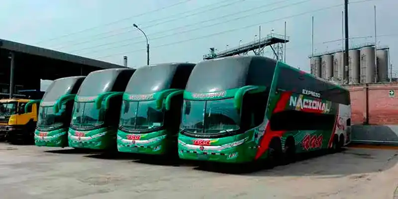 buses provinciales nacional