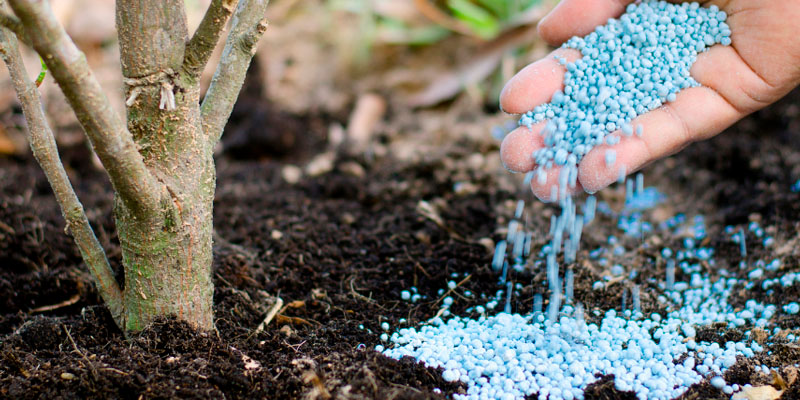 Fertilizante Sintético Elaboración Petróleo Casa Lima Fertilizante Sintético Elaboración Petróleo Casa Lima