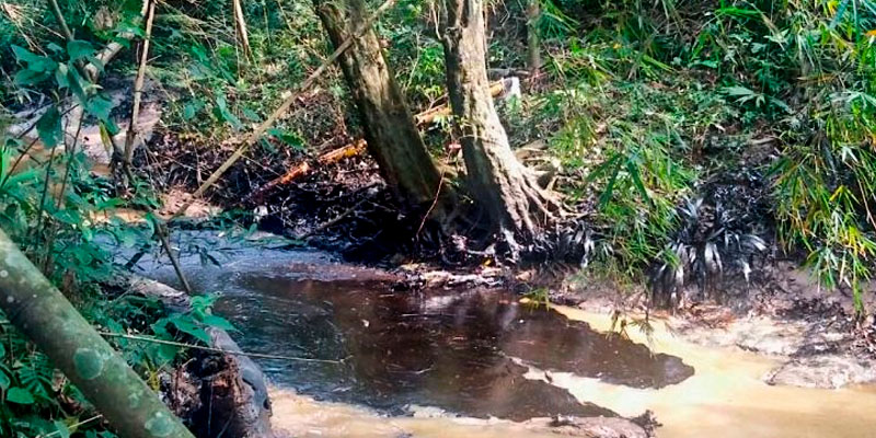 Petróleo Abiótico Bosque Casa Lima Petróleo Abiótico Bosque Casa Lima