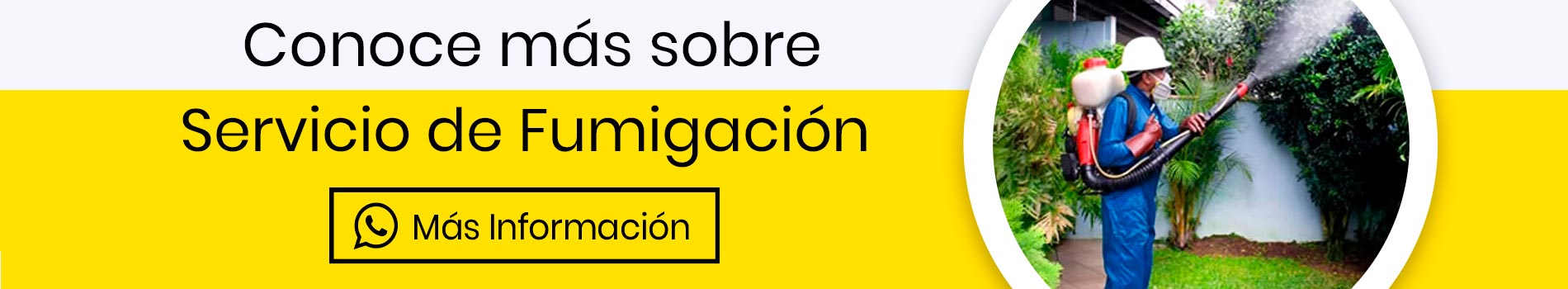 bca-cta-servicio-de-fumigacion-conoce-mas-casa-lima-peru