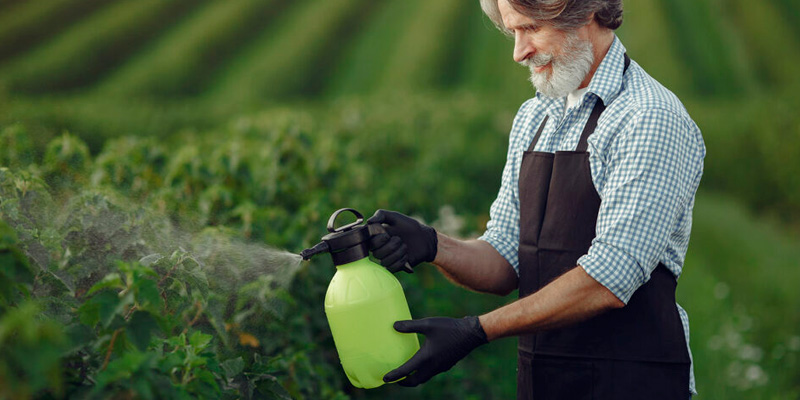 Beneficios Petróleo Insecticida Casa Lima Beneficios Petróleo Insecticida Casa Lima