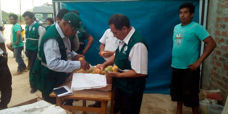 Caja Frutas Casa Lima Caja Frutas Casa Lima