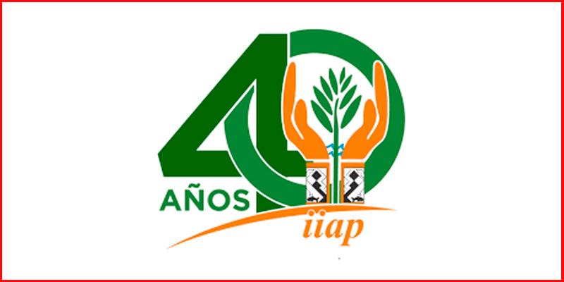 Logo Iiap Casa Lima Logo Iiap Casa Lima