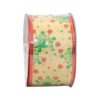 Caja de Cintas de Yute Surtido 6.3 cm x 10 