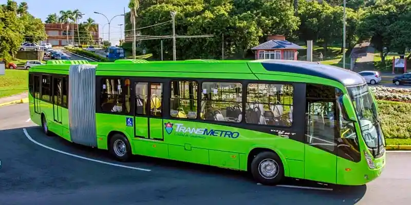 Medios de transporte de carga