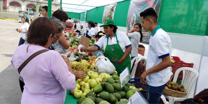 requisitos básicos para solicitar una licencia