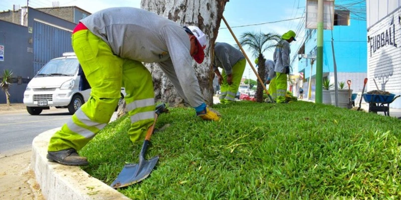 licenciamiento negocio proceso