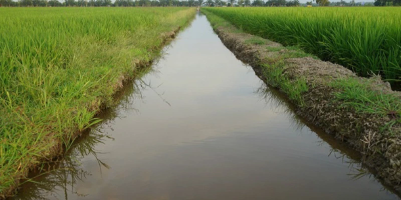 pac purificación de agua salada