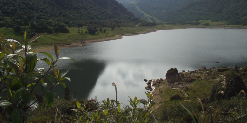 pac tratamiento en agua salinas