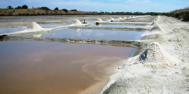 comparador aguas salinas