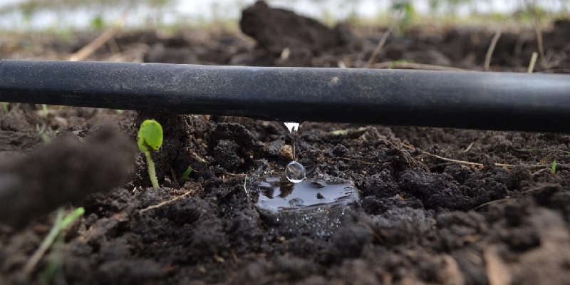 desinfección agricola hipoclorito