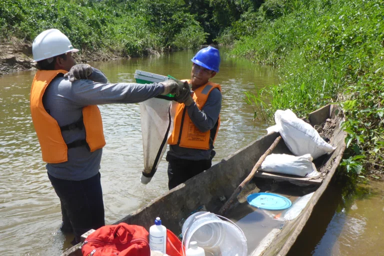 selva chaleco salvavidas